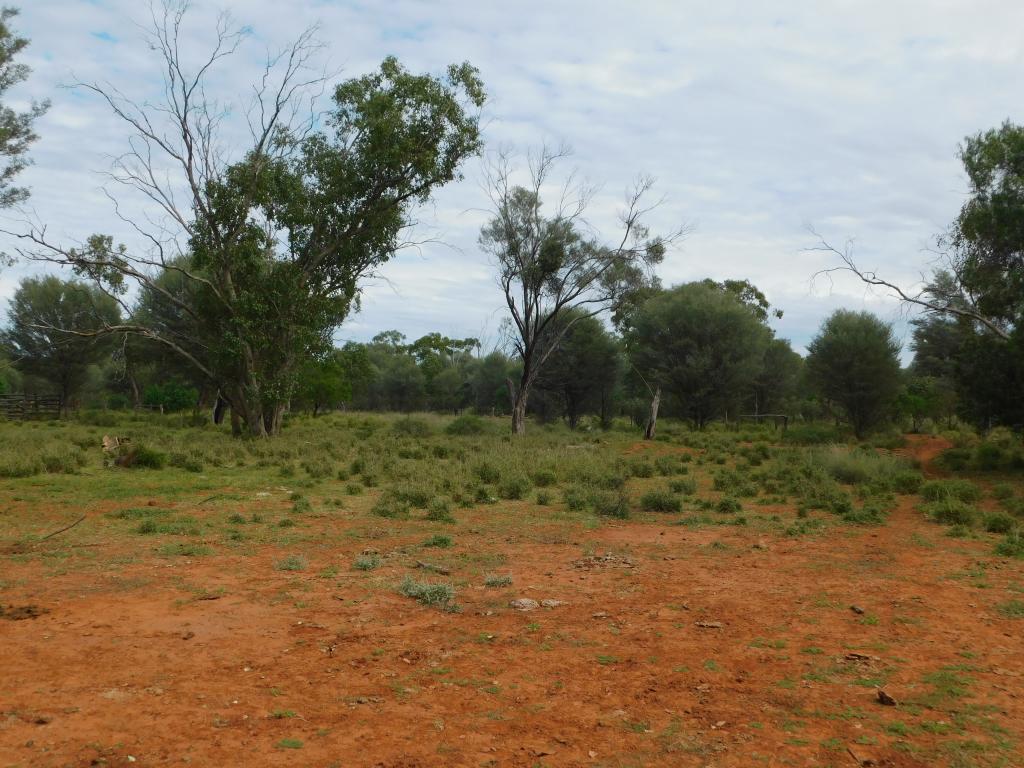 3310 Wardsdale Rd, Ward, QLD 4470