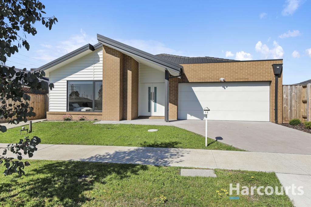 12 Hayes Rd, Newborough, VIC 3825