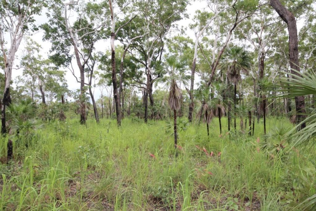 2936 Litchfiled Park Rd, Charlotte, NT 0822