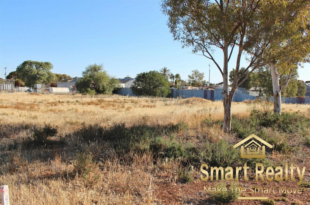 23 Leake St, Doodlakine, WA 6411