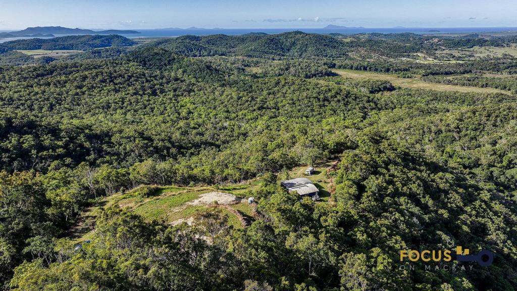 297 MAPALO RD, THE LEAP, QLD 4740