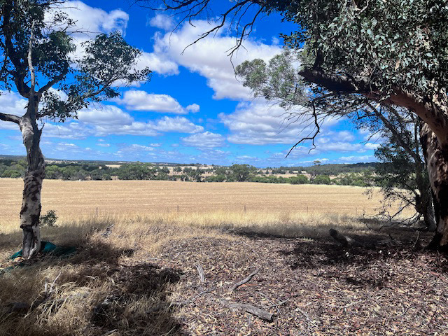 174 Talbot Hall Rd, Talbot, WA 6302