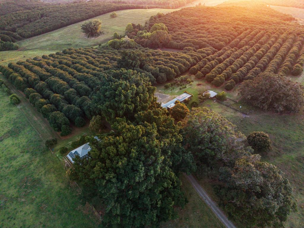 241 Alcorn Rd, Knockrow, NSW 2479