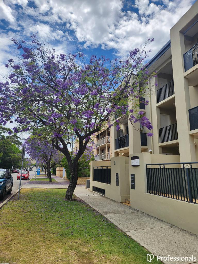 4/14 Forrest Ave, East Perth, WA 6004