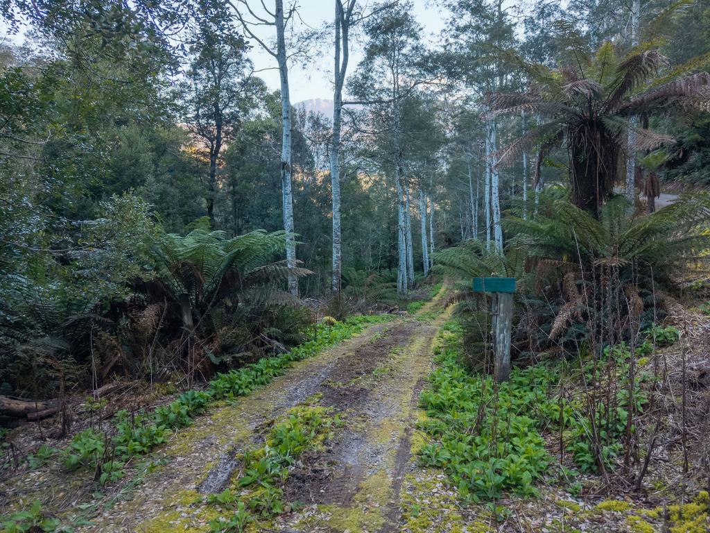 1759 LOONGANA RD, LOONGANA, TAS 7315