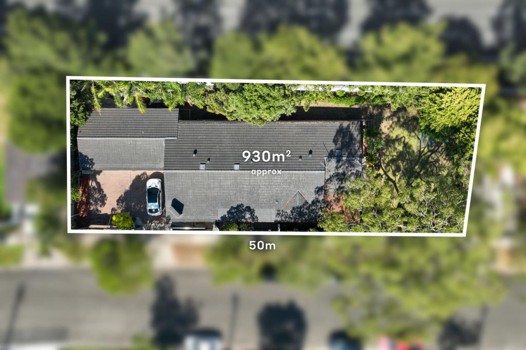 118 Newton Rd, Strathfield, NSW 2135