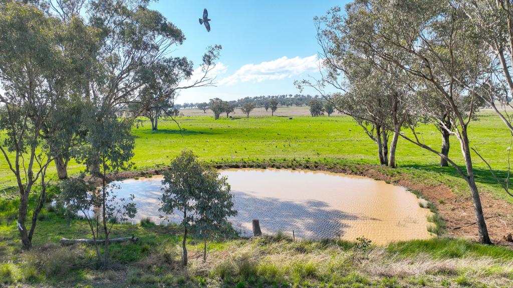 1174 New Winton Rd, Westdale, NSW 2340