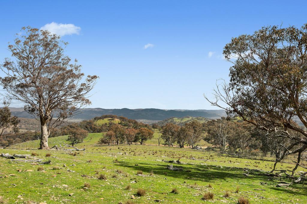 LOT 1301, QUEENS PINCH RD, WINDEYER, NSW 2850