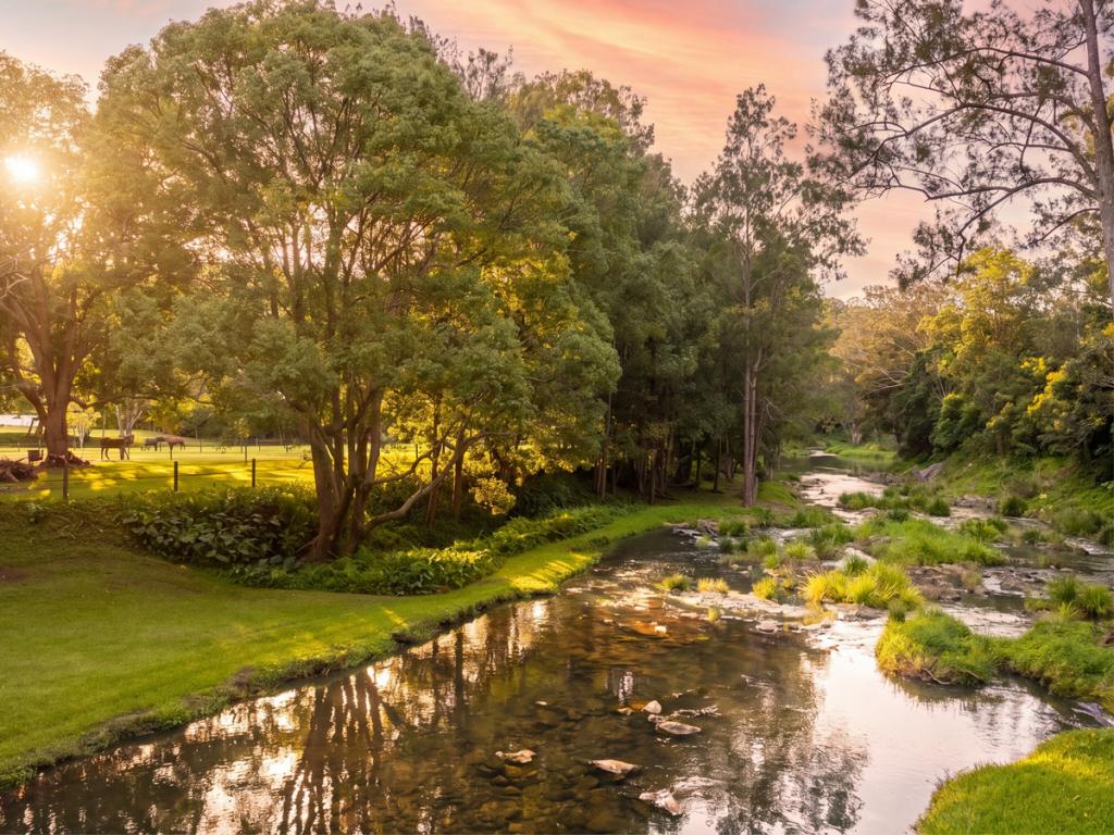 557 Tallebudgera Creek Rd, Tallebudgera Valley, QLD 4228