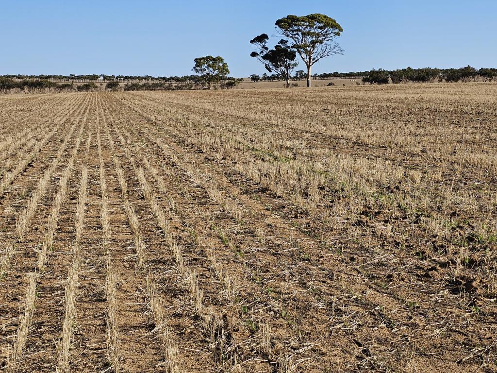 LOT 2 FOTHERINGHAME RD, JILAKIN, WA 6365