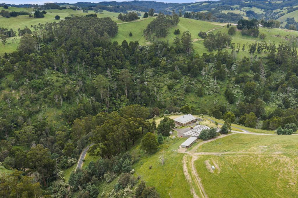 350 Wild Dog Rd, Strzelecki, VIC 3950