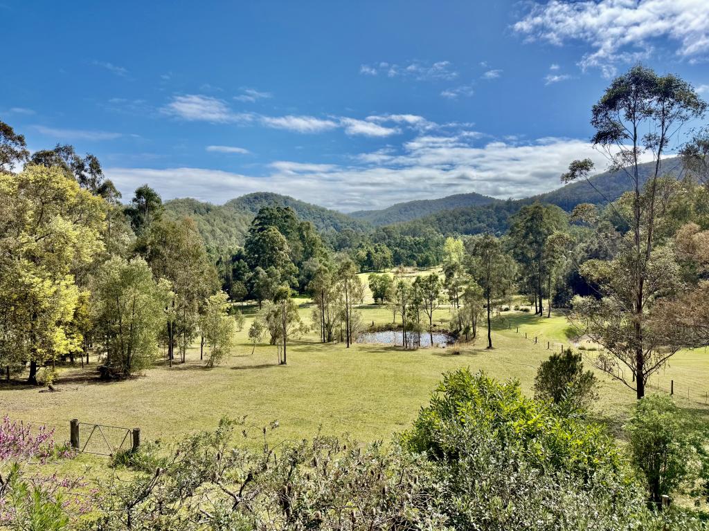 20 Muti Lane, Murrays Run, NSW 2325