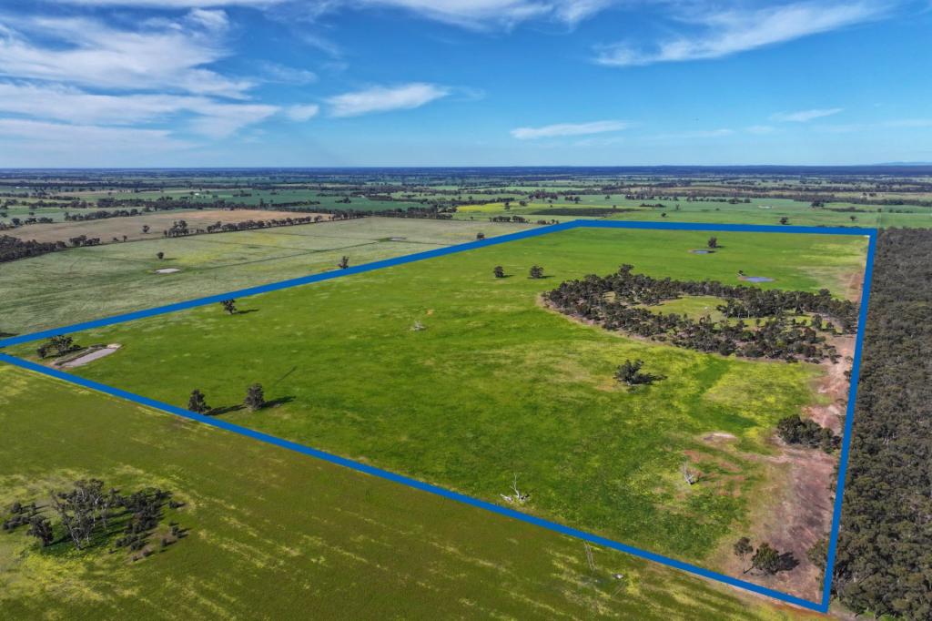 9999 PLAIN RD, CORNELLA, VIC 3551