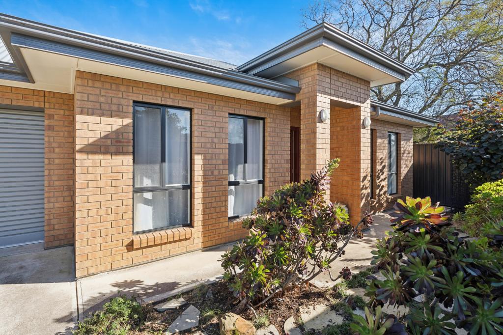 41 Workman St, Birkenhead, SA 5015