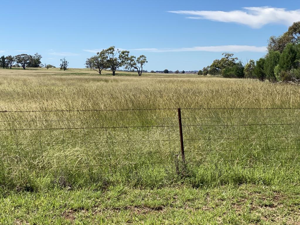 8308 The Bogan Way, Trundle, NSW 2875