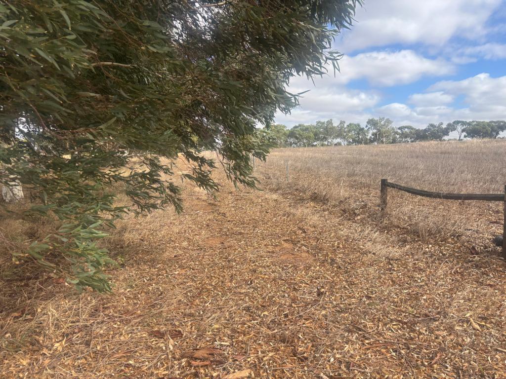 Lot 9678 Geraldton Mount Magnet Rd, Wicherina, WA 6532