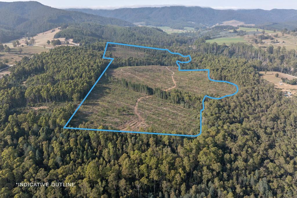 Lot 1 East Maurice Rd, Talawa, TAS 7263