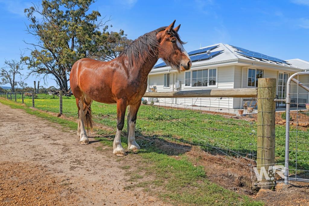 447 Crockerup Rd, Mount Barker, WA 6324