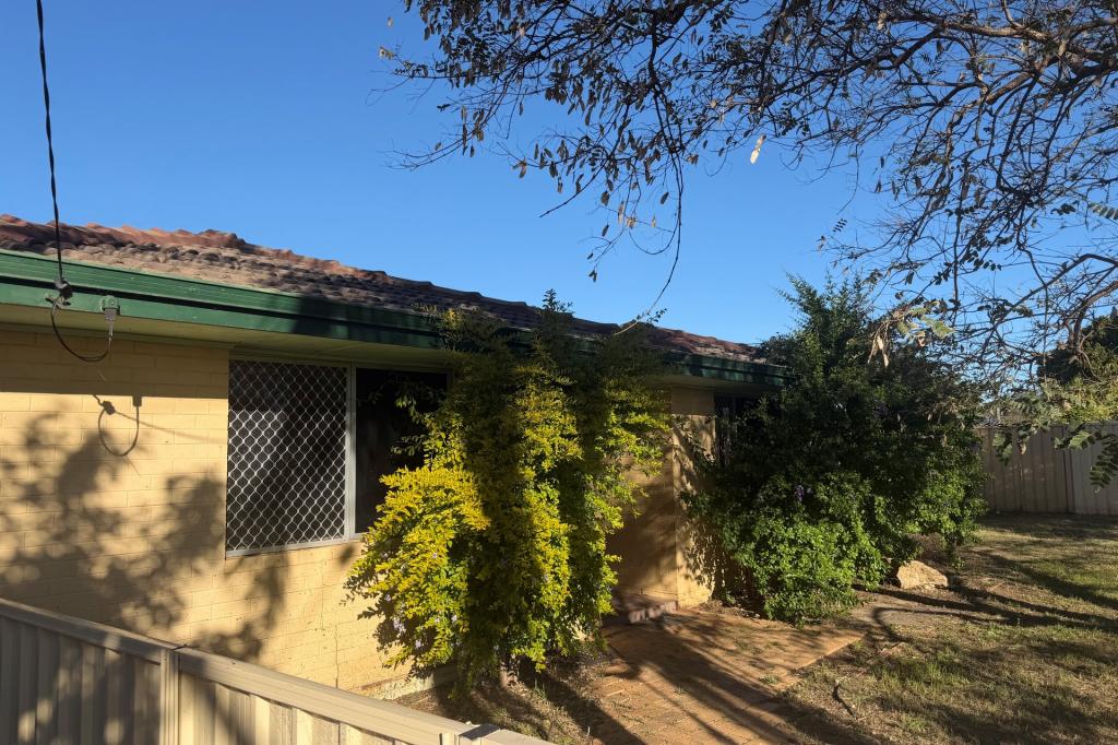 66 Strickland St, Spalding, WA 6530
