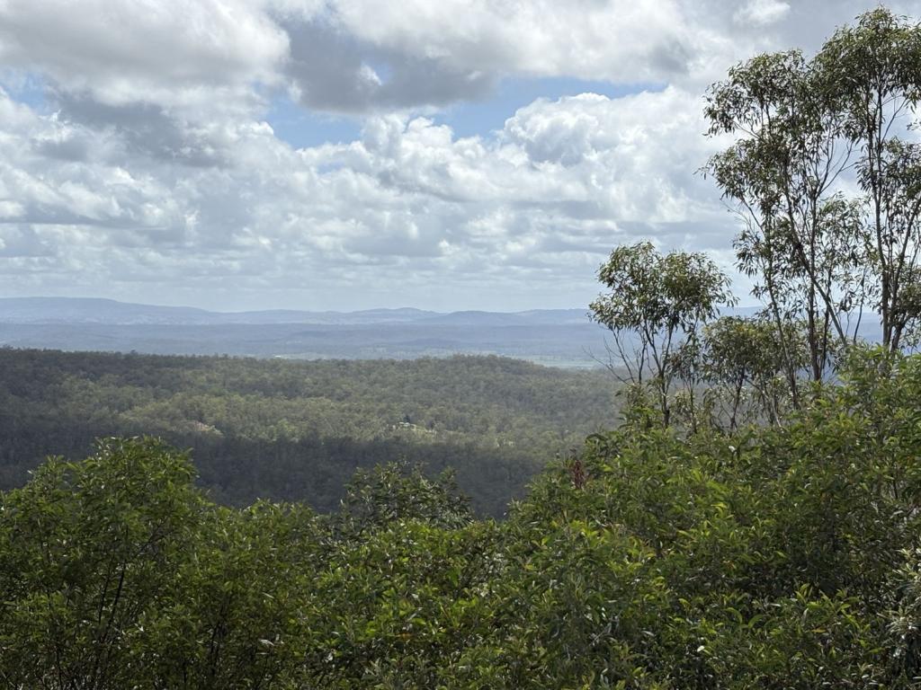 Contact Agent For Address, Ewingar, NSW 2469