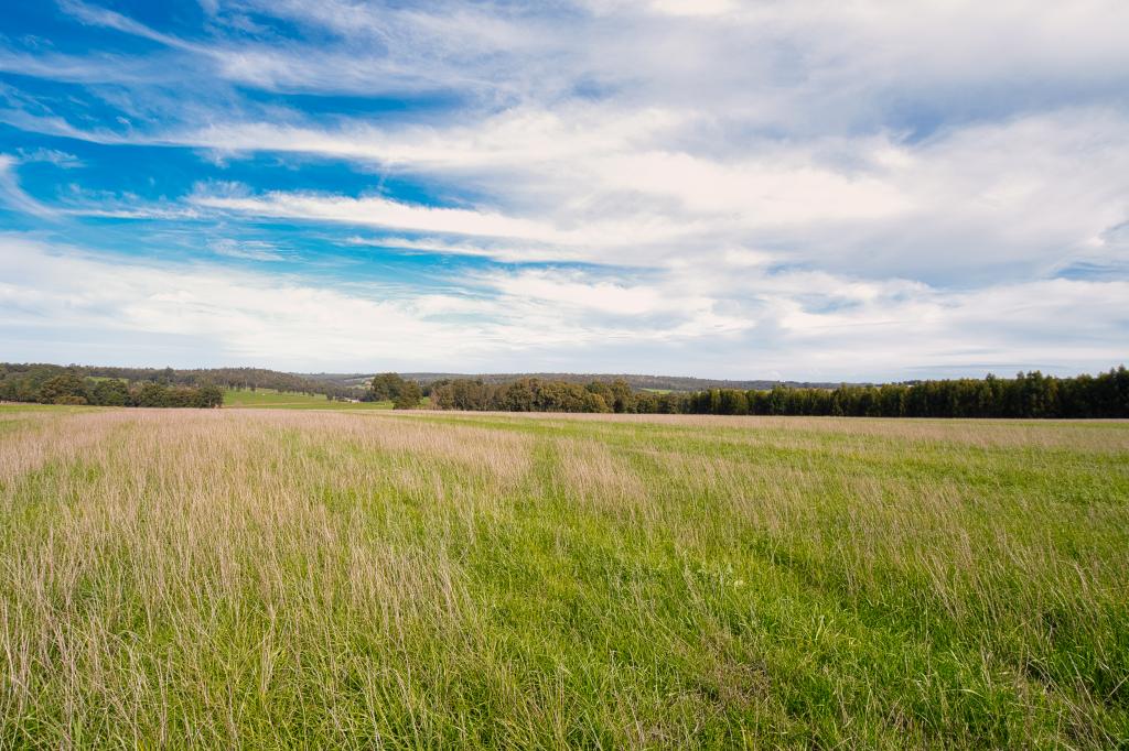 Lot 3 Perup Rd, Manjimup, WA 6258