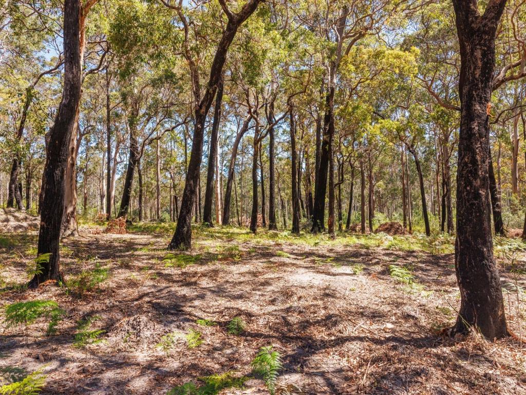 72 Wonboyn Road, Wonboyn Via, Eden, NSW 2551