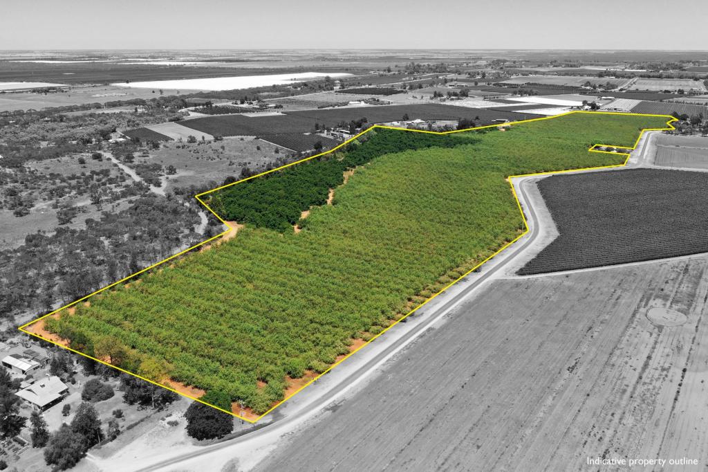 182 Carey Street And 210 Dumosa St, Red Cliffs, VIC 3496