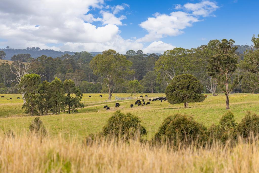 179 Norries Rd, Bunyah, NSW 2429