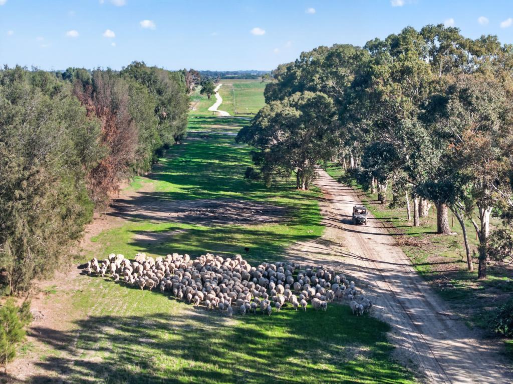 'Cairndale' Dukes Hwy, Keith, SA 5267