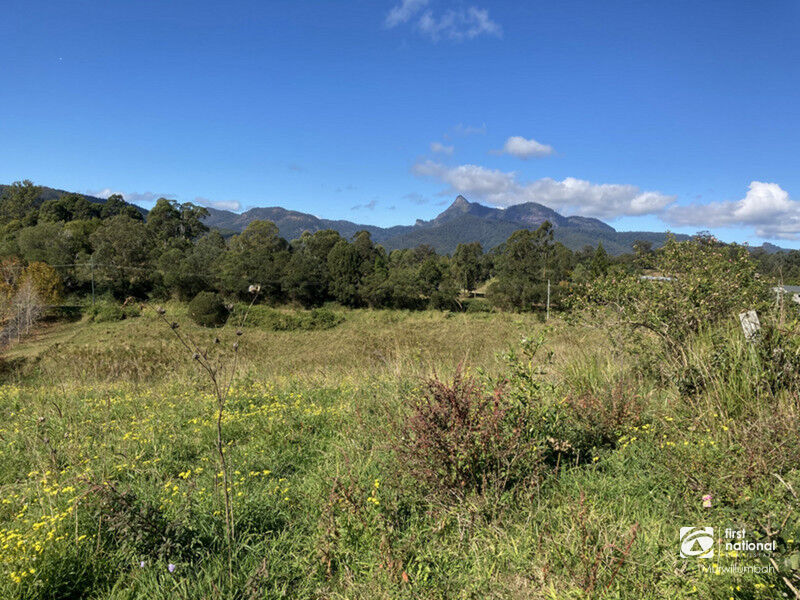 Lot 2 Limpinwood Rd, Limpinwood, NSW 2484