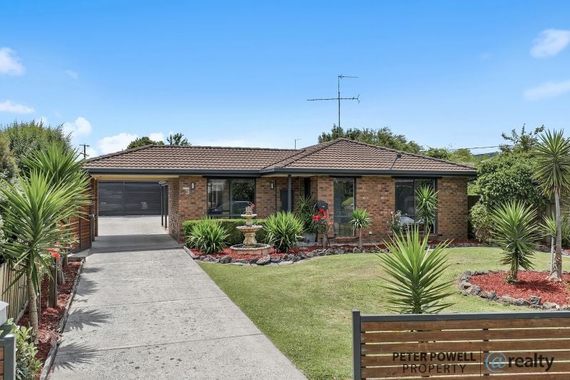 3 Page Ct, Trafalgar, VIC 3824