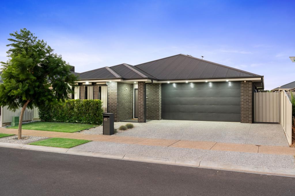 45 Ascot Ave, Munno Para West, SA 5115