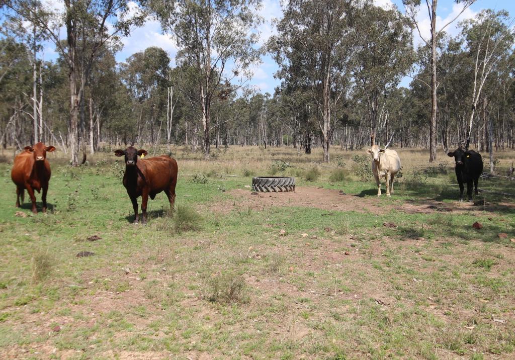 Lot D Mundubbera Durong Rd, Brovinia, QLD 4626