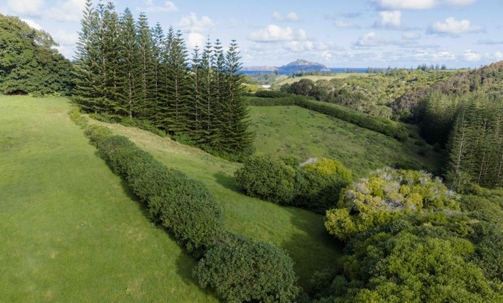 37o9 Taylors Rd, Norfolk Island, NSW 2899