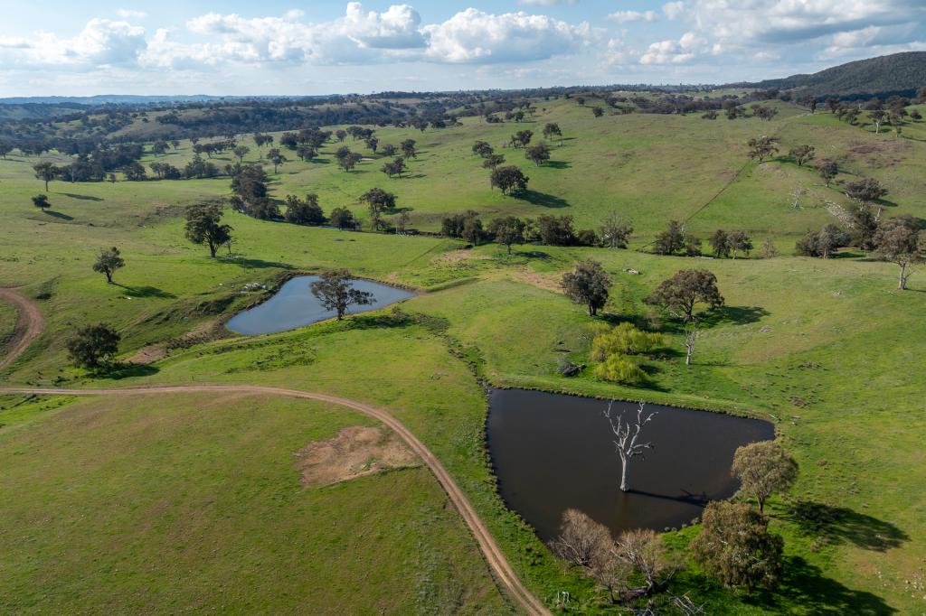 289 Paling Yards Loop, Bowan Park, NSW 2864