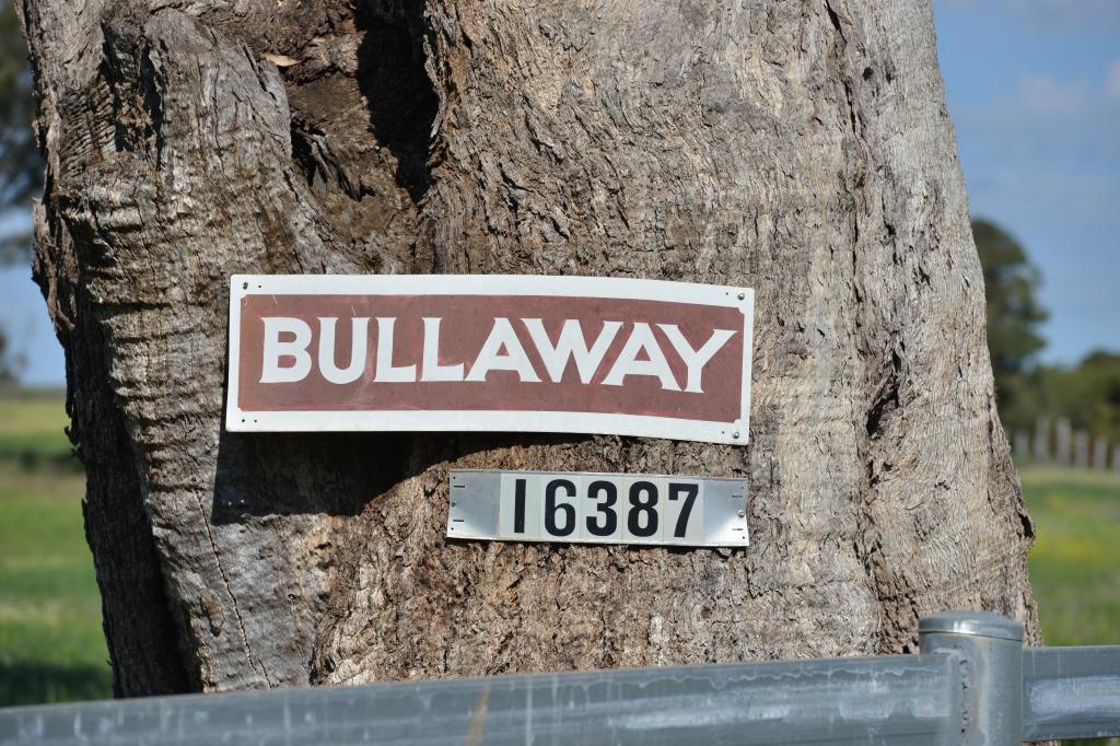 16387 OXLEY HWY, COONABARABRAN, NSW 2357