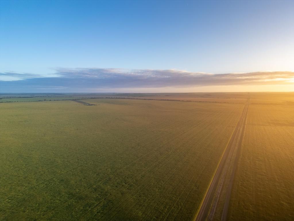 Charlie'S/2233 Fourteen Mile Rd, Mallee Hill, WA 6353