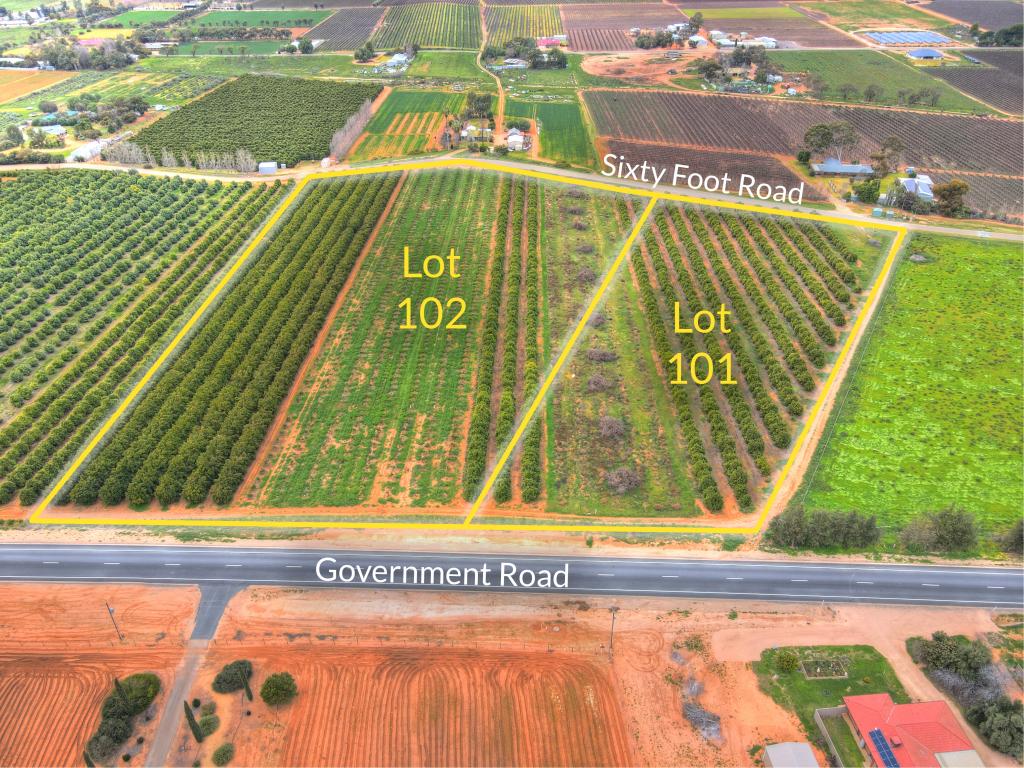 Lot 101 & 102 Sixty Foot Rd, Renmark West, SA 5341