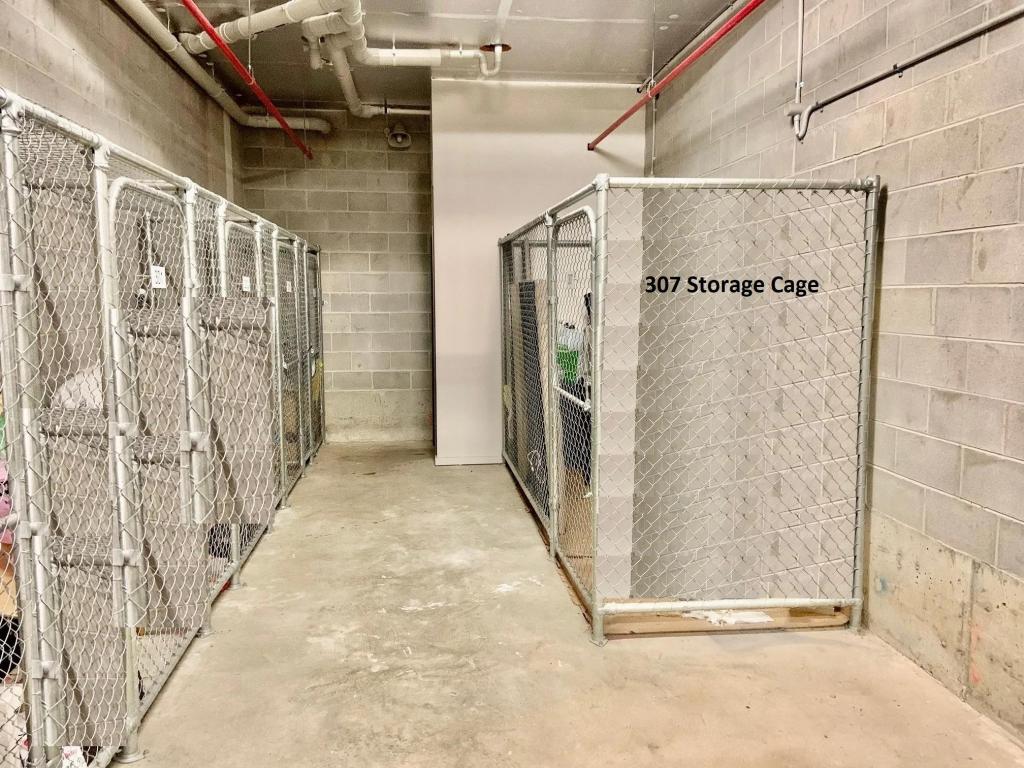 307/1-3 Ashted Rd, Box Hill, VIC 3128