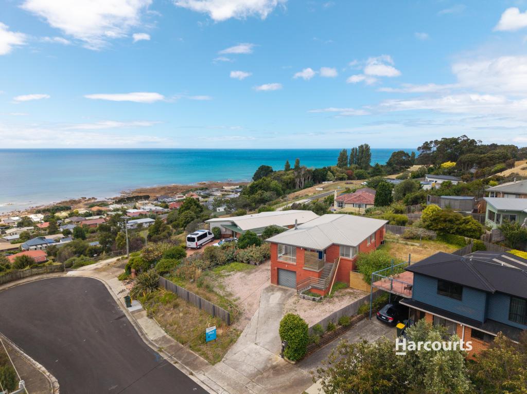 6 Mortimer Rd, Penguin, TAS 7316