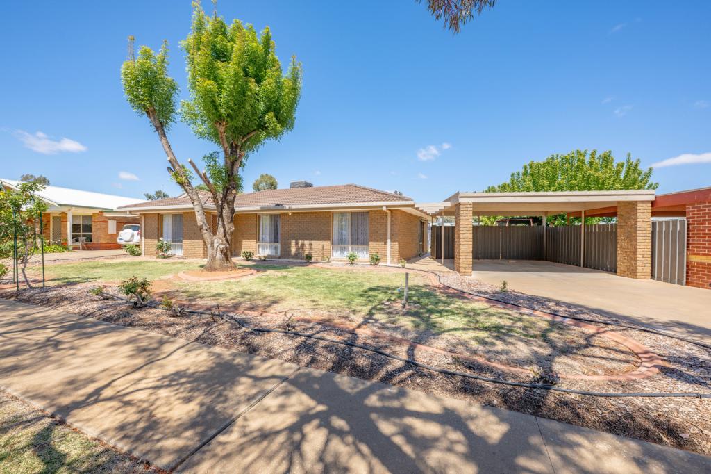 19 Caffrey Ct, Irymple, VIC 3498