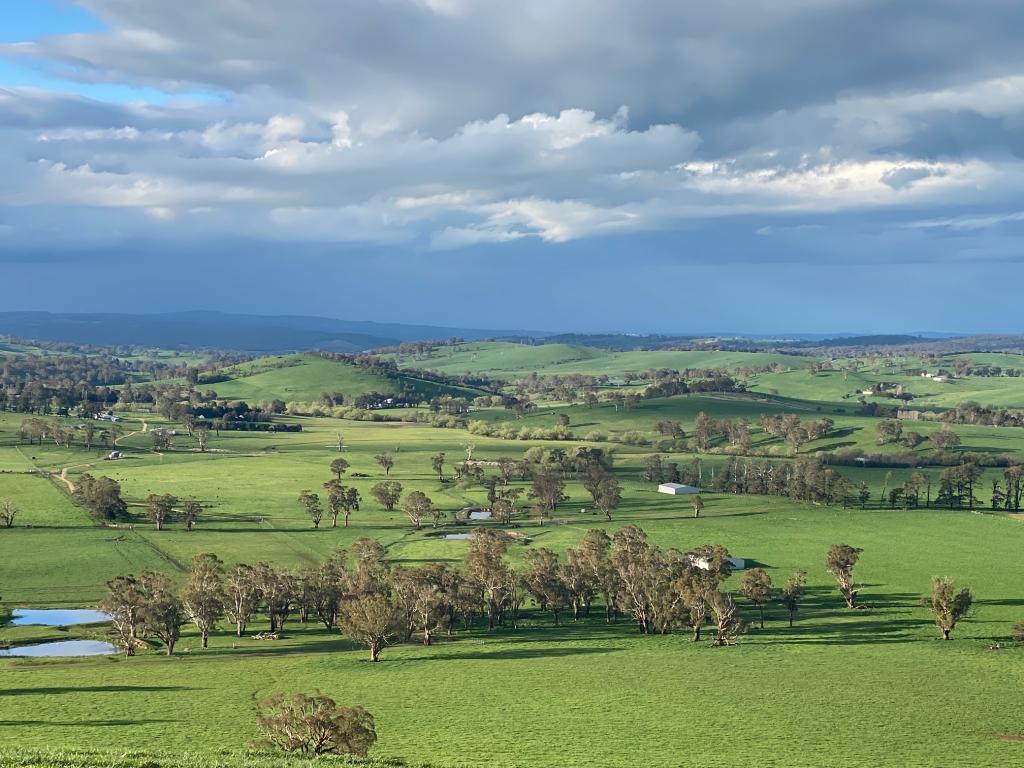 584 Three Brothers Rd, Moorilda, NSW 2795