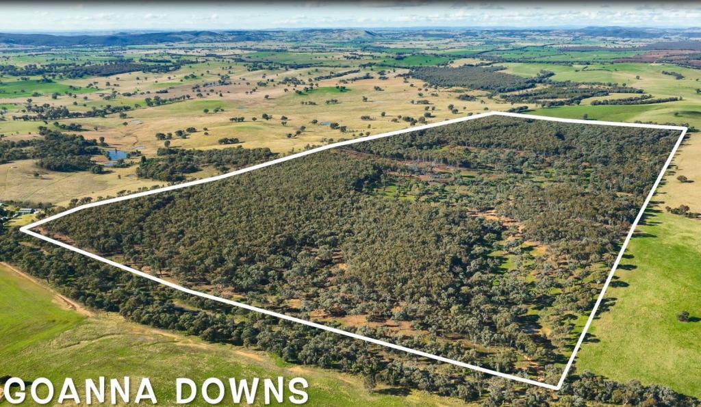 . Holbrook Wagga Rd, Cookardinia, NSW 2650