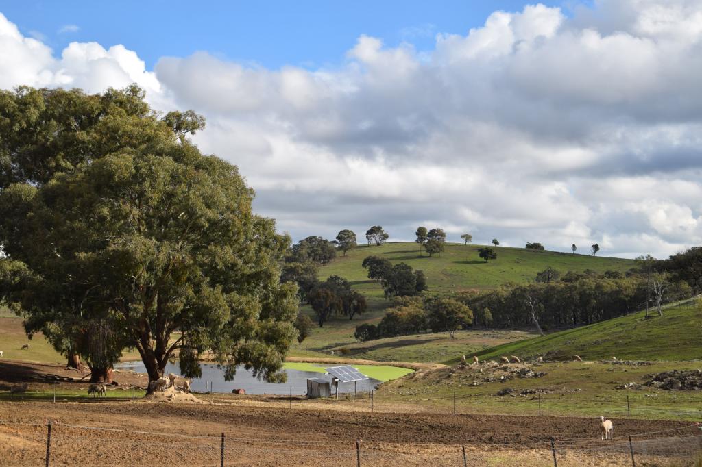 'Morella' 1257 Bundalah Rd, Euchareena, NSW 2866