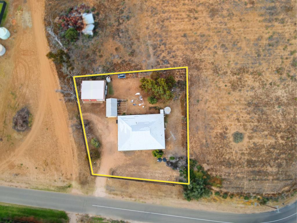 49 Brown St, Lyrup, SA 5343