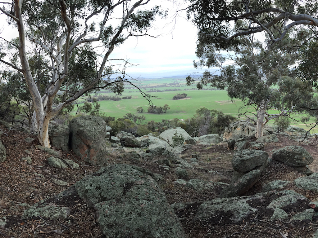 Lot 12 Young Rd, Gwambygine, WA 6302