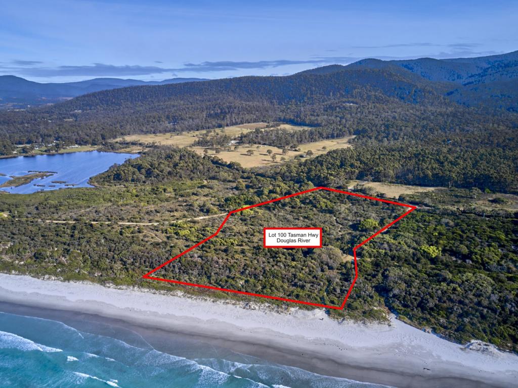 100 Tasman Highway, Douglas River, TAS 7215