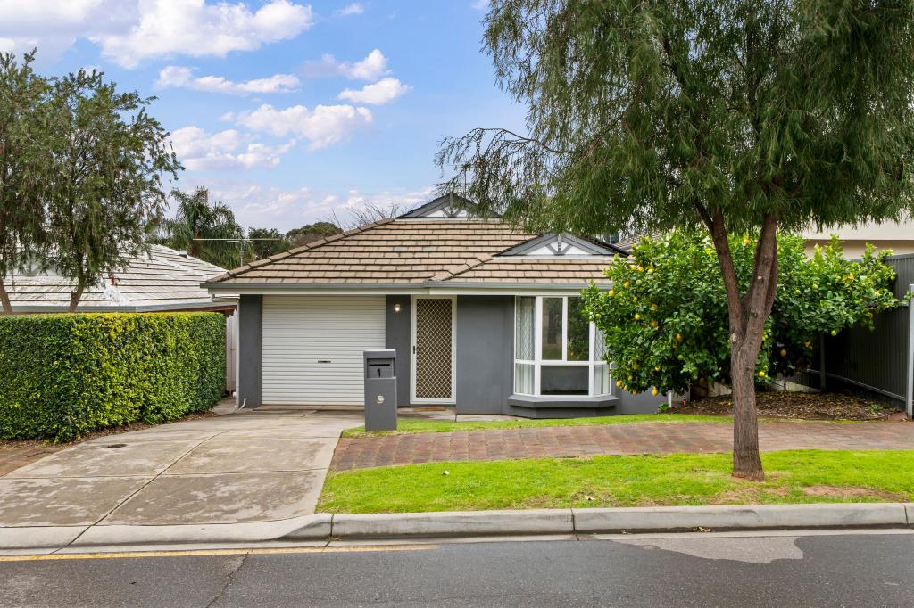 1 Bundey St, Magill, SA 5072
