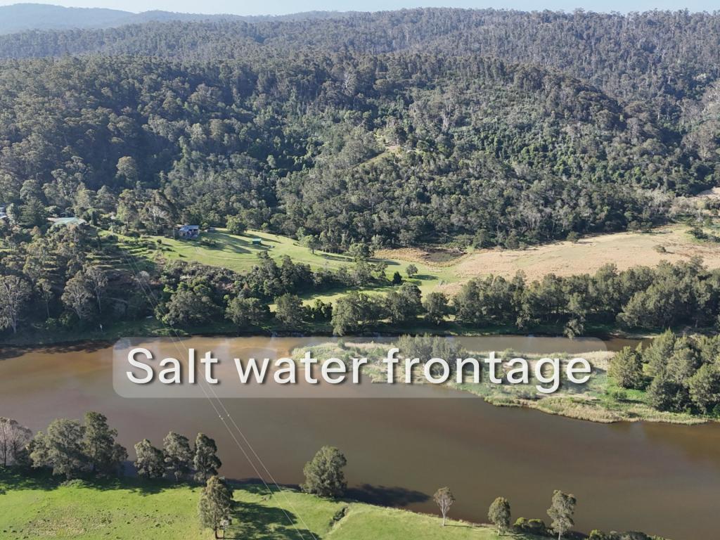 732 Reedy Swamp Rd, Reedy Swamp, NSW 2550