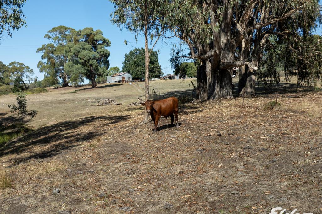 124 Watkins Road, Creek Junction Via, Strathbogie, VIC 3666